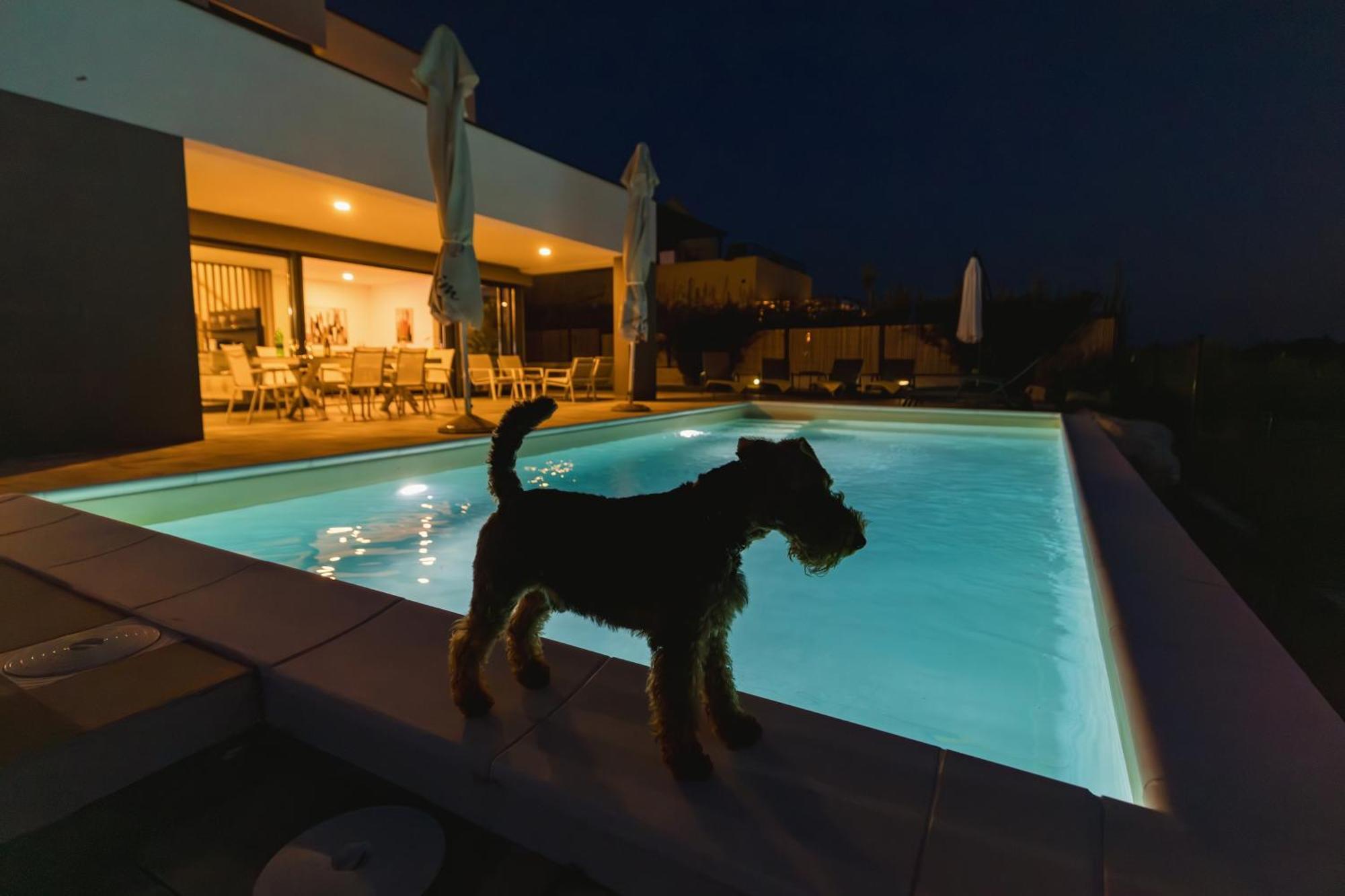 Villa Boiky - Private Pool And Amazing Sea View, Istria Materada Bagian luar foto