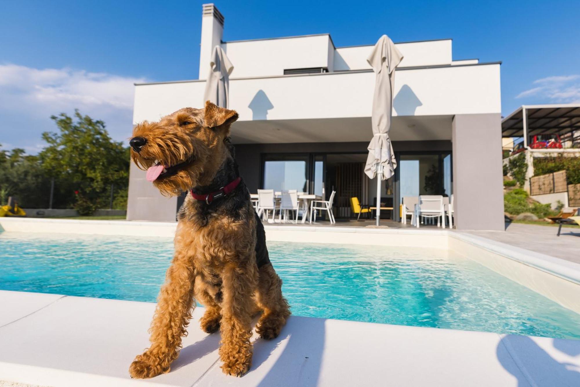 Villa Boiky - Private Pool And Amazing Sea View, Istria Materada Bagian luar foto
